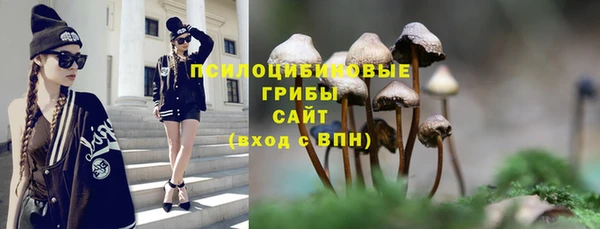 МДПВ Белокуриха