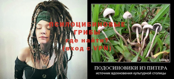 МДПВ Белокуриха