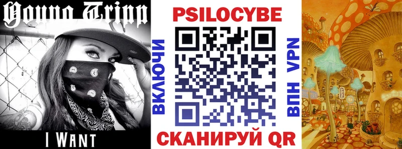 Купить  Михайловск  Галлюциногенные грибы мицелий 