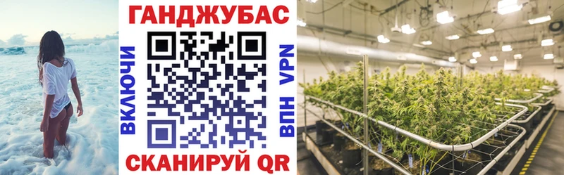 Купить где  Михайловск  Бошки марихуана VHQ 